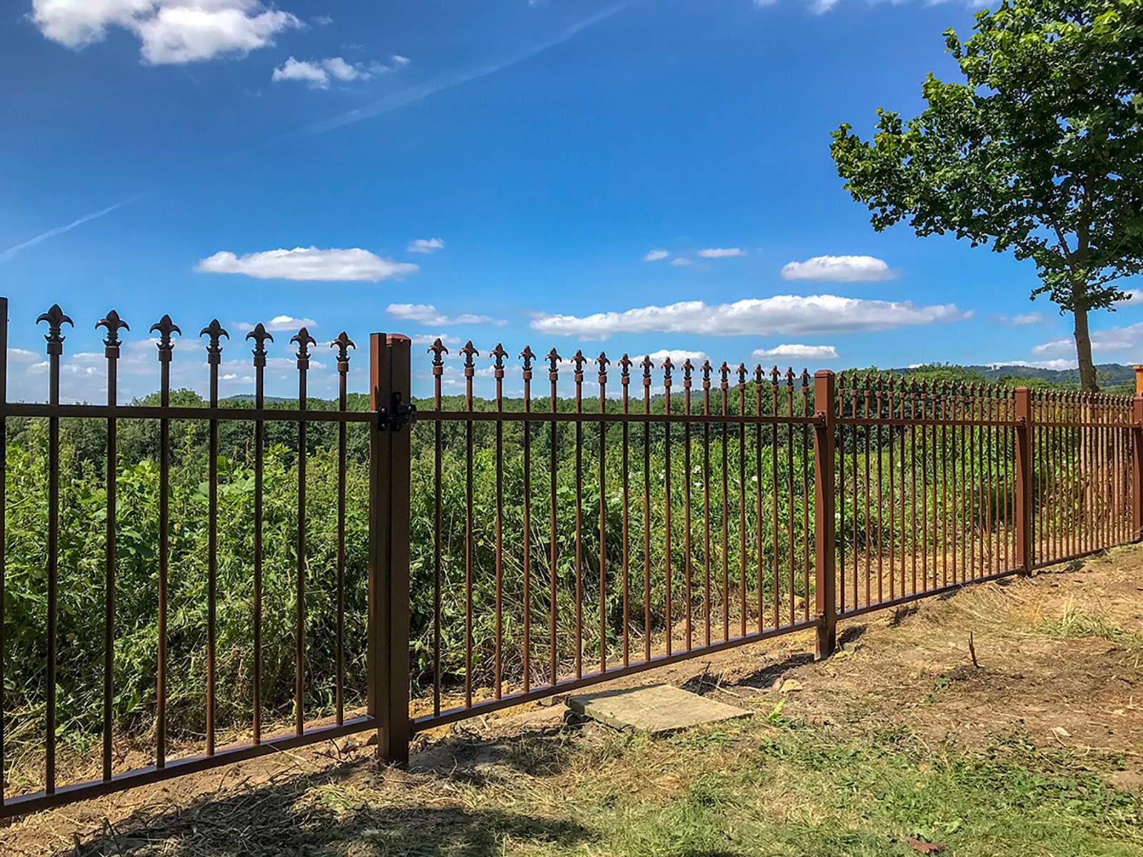 Fleur de Lys Top Railing